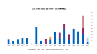 Graph of debt maturity profile